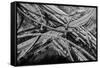 Aerial view of freeway interchange, City Of Los Angeles, Los Angeles County, California, USA-Panoramic Images-Framed Stretched Canvas