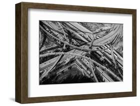 Aerial view of freeway interchange, City Of Los Angeles, Los Angeles County, California, USA-Panoramic Images-Framed Photographic Print