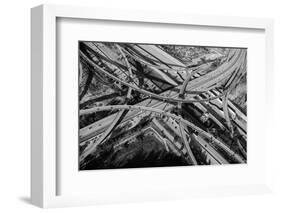 Aerial view of freeway interchange, City Of Los Angeles, Los Angeles County, California, USA-Panoramic Images-Framed Photographic Print