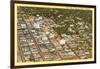 Aerial View of Fresno, California-null-Framed Art Print