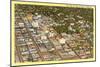 Aerial View of Fresno, California-null-Mounted Art Print