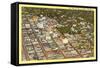 Aerial View of Fresno, California-null-Framed Stretched Canvas