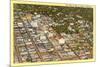 Aerial View of Fresno, California-null-Mounted Premium Giclee Print