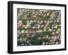 Aerial View of Georgetown, Guyana-Keren Su-Framed Premium Photographic Print