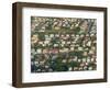 Aerial View of Georgetown, Guyana-Keren Su-Framed Photographic Print