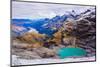 Aerial View of Glacier Lakes on Fox Glacier, South Island, New Zealand, Pacific-Laura Grier-Mounted Photographic Print