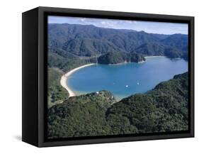 Aerial View of Golden Bay, Takaka, Abel Tasman National Park, Nelson, South Island, New Zealand-D H Webster-Framed Stretched Canvas