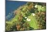 Aerial View of Golf Course in Autumn-DWStock-Mounted Photographic Print