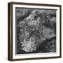 Aerial View of Greater New York, Showing Manhattan Island-null-Framed Photographic Print