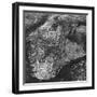 Aerial View of Greater New York, Showing Manhattan Island-null-Framed Photographic Print