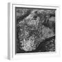 Aerial View of Greater New York, Showing Manhattan Island-null-Framed Photographic Print