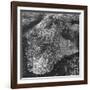 Aerial View of Greater New York, Showing Manhattan Island-null-Framed Photographic Print