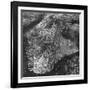 Aerial View of Greater New York, Showing Manhattan Island-null-Framed Photographic Print