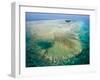 Aerial View of Green Island, The Great Barrier Reef, Cairns Area, North Coast, Queensland-Walter Bibikow-Framed Photographic Print