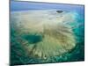 Aerial View of Green Island, The Great Barrier Reef, Cairns Area, North Coast, Queensland-Walter Bibikow-Mounted Photographic Print