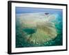 Aerial View of Green Island, The Great Barrier Reef, Cairns Area, North Coast, Queensland-Walter Bibikow-Framed Photographic Print