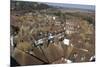 Aerial View of Half-Timbered Detailed Houses-Natalie Tepper-Mounted Photo