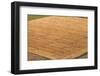 Aerial View of Harvest Field-Mariusz Szczygiel-Framed Photographic Print