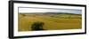 Aerial view of hay fields near Baslow village, Peak District National Park, Derbyshire, England-Frank Fell-Framed Photographic Print