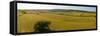 Aerial view of hay fields near Baslow village, Peak District National Park, Derbyshire, England-Frank Fell-Framed Stretched Canvas