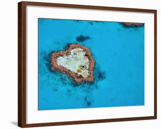 Aerial View of Heart Reef, Great Barrier Reef, Queensland, Australia-Michele Falzone-Framed Photographic Print