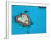 Aerial View of Heart Reef, Great Barrier Reef, Queensland, Australia-Michele Falzone-Framed Photographic Print