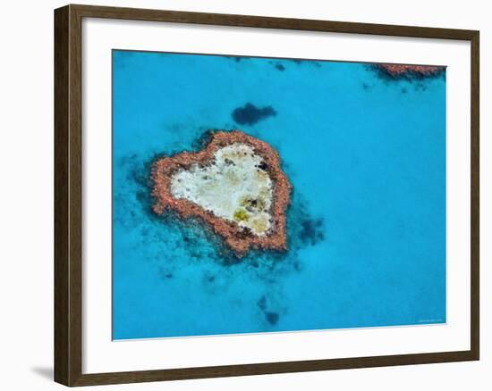 Aerial View of Heart Reef, Great Barrier Reef, Queensland, Australia-Michele Falzone-Framed Photographic Print