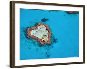 Aerial View of Heart Reef, Great Barrier Reef, Queensland, Australia-Michele Falzone-Framed Photographic Print