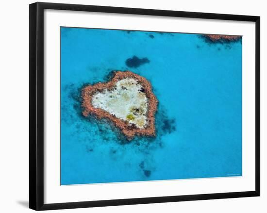 Aerial View of Heart Reef, Great Barrier Reef, Queensland, Australia-Michele Falzone-Framed Photographic Print