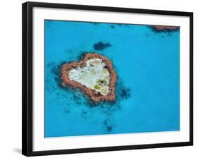 Aerial View of Heart Reef, Great Barrier Reef, Queensland, Australia-Michele Falzone-Framed Photographic Print