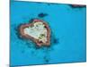 Aerial View of Heart Reef, Great Barrier Reef, Queensland, Australia-Michele Falzone-Mounted Photographic Print