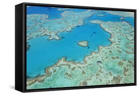 Aerial View of Heart Reef, Great Barrier Reef, Queensland, Australia-Peter Adams-Framed Stretched Canvas