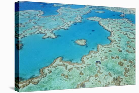 Aerial View of Heart Reef, Great Barrier Reef, Queensland, Australia-Peter Adams-Stretched Canvas