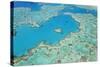 Aerial View of Heart Reef, Great Barrier Reef, Queensland, Australia-Peter Adams-Stretched Canvas