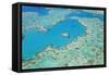 Aerial View of Heart Reef, Great Barrier Reef, Queensland, Australia-Peter Adams-Framed Stretched Canvas