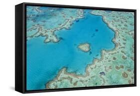 Aerial View of Heart Reef, Great Barrier Reef, Queensland, Australia-Peter Adams-Framed Stretched Canvas