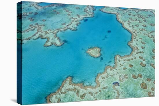 Aerial View of Heart Reef, Great Barrier Reef, Queensland, Australia-Peter Adams-Stretched Canvas