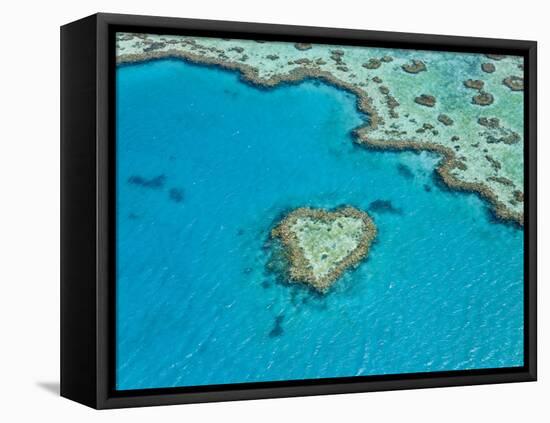 Aerial View of Heart Reef, Part of Great Barrier Reef, Queensland, Australia-Peter Adams-Framed Stretched Canvas