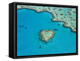 Aerial View of Heart Reef, Part of Great Barrier Reef, Queensland, Australia-Peter Adams-Framed Stretched Canvas