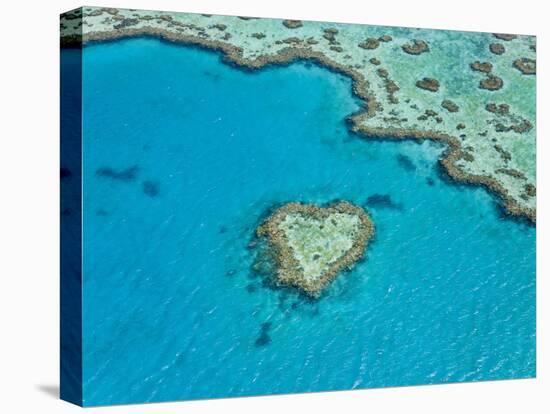 Aerial View of Heart Reef, Part of Great Barrier Reef, Queensland, Australia-Peter Adams-Stretched Canvas