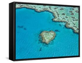 Aerial View of Heart Reef, Part of Great Barrier Reef, Queensland, Australia-Peter Adams-Framed Stretched Canvas