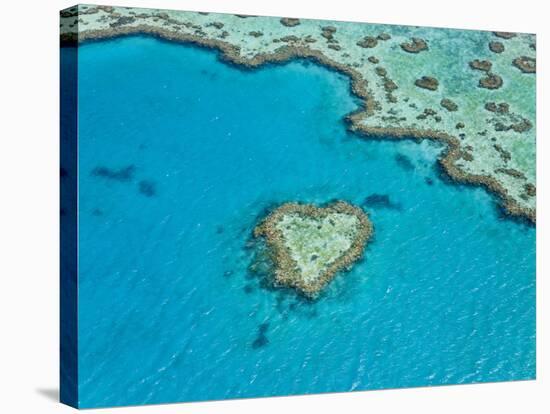 Aerial View of Heart Reef, Part of Great Barrier Reef, Queensland, Australia-Peter Adams-Stretched Canvas