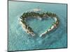 Aerial View Of Heart-Shaped Tropical Island-Mike_Kiev-Mounted Art Print