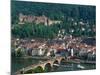 Aerial View of Heidelburg, Germany-Peter Adams-Mounted Photographic Print