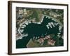 Aerial View of Hilton Head Harbour Town, South Carolina, USA-Kim Hart-Framed Photographic Print