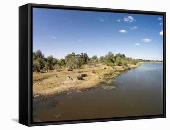 Aerial View of Hippo Pond, Moremi Game Reserve, Botswana-Paul Souders-Framed Stretched Canvas