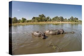Aerial View of Hippo Pond, Moremi Game Reserve, Botswana-Paul Souders-Stretched Canvas