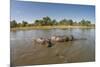 Aerial View of Hippo Pond, Moremi Game Reserve, Botswana-Paul Souders-Mounted Premium Photographic Print