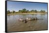 Aerial View of Hippo Pond, Moremi Game Reserve, Botswana-Paul Souders-Framed Stretched Canvas