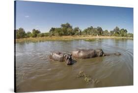 Aerial View of Hippo Pond, Moremi Game Reserve, Botswana-Paul Souders-Stretched Canvas